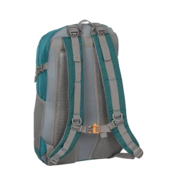 New Rebels Kinley Alburquerque Petrol 35L Rugtas
