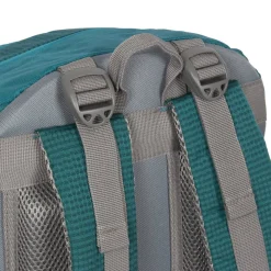 New Rebels Kinley Alburquerque Petrol 35L Rugtas